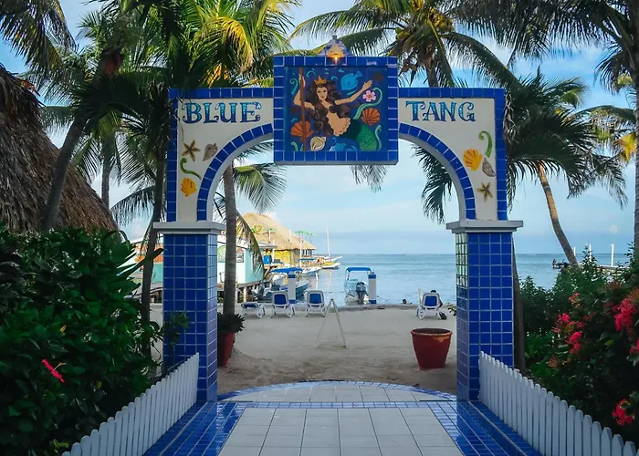 Blue Tang Inn - Beachfront Suites And Pool