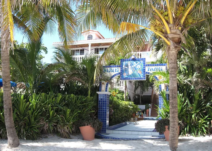 Blue Tang Inn - Beachfront Suites And Pool